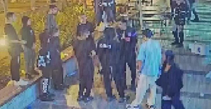 מאבק באלימות ובאכיפה הפלילית